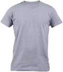 Gray T-Shirt